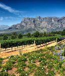 BEST OF SOUTH AFRICA - Mercury Holidays
