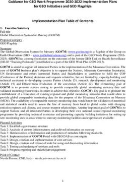 Guidance for GEO Work Programme 2020-2022 Implementation Plans for GEO Initiatives and GEO Flagships Implementation Plan Table of Contents - Group ...