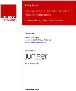 The Security Vulnerabilities of LTE: Risks for Operators - White Paper