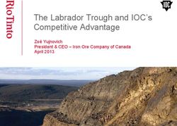 The Labrador Trough and IOC's Competitive Advantage - Zoë Yujnovich President & CEO - Iron Ore Company of Canada April 2013