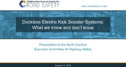 Dockless Electric Kick Scooter Systems: What we know and don't know - Presentation to the North Carolina Executive Committee for Highway Safety ...