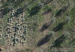 Drones for Peace: Part II Fast and Inexpensive Spatial Data Capture for Multi-Purpose Use