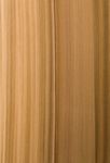 Multi-Dimensional Assessing Quality and Durability When Specifying Timber Flooring - Architecture & Design