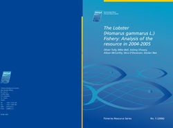 The Lobster (Homarus gammarus L.) Fishery: Analysis of the resource in 2004-2005