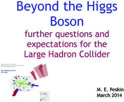 Beyond the Higgs Boson - further questions and expectations for the Large Hadron Collider