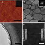 Holey Silicon as an Efficient Thermoelectric Material