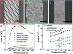 Holey Silicon as an Efficient Thermoelectric Material
