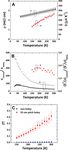 Holey Silicon as an Efficient Thermoelectric Material