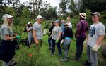 DIALOG GLOBAL MUNICIPAL CLIMATE PARTNERSHIPS Documentation of the sixth phase of the project | No. 61 - SKEW