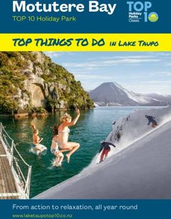 Motutere Bay TOP THINGS TO DO in Lake Taupo - TOP 10 Holiday Park - From action to relaxation, all year round