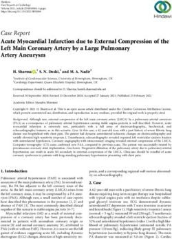 Case Report Acute Myocardial Infarction due to External Compression of the Left Main Coronary Artery by a Large Pulmonary Artery Aneurysm