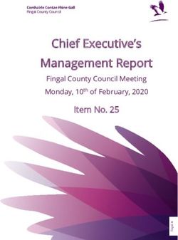 Chief Executive's Management Report - Item No. 25 Fingal County Council Meeting