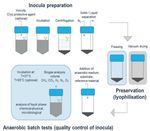 IV. Conference on Monitoring & Process Control of Anaerobic Digestion Plants - Reader