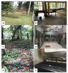 The Journal of Veterinary Medical Science