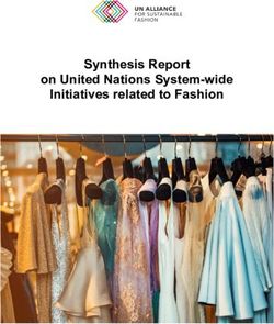 Synthesis Report on United Nations System-wide Initiatives related to Fashion