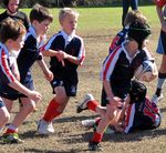 Manly Roos Junior Rugby Union Club - Sponsorship Invitation Seasons - 2021 Manly Roos ...