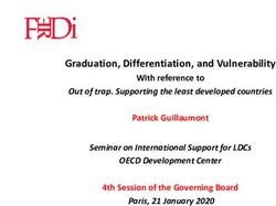 Graduation, Differentiation, and Vulnerability - Ferdi