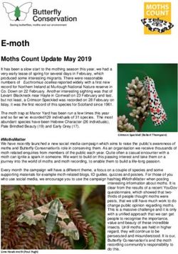 E-moth Moths Count Update May 2019 - Butterfly Conservation