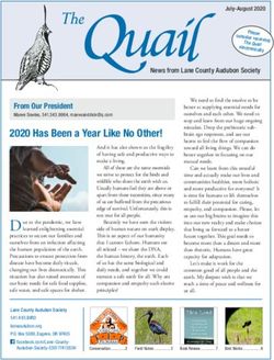 2020 Has Been a Year Like No Other! - From Our President - Lane County Audubon Society