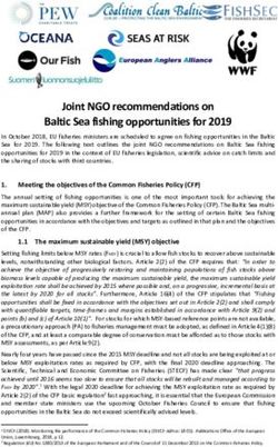 Joint NGO recommendations on Baltic Sea fishing opportunities for 2019