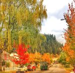 Visitor Guide - Play Stay Shop - Visit Wallace Idaho