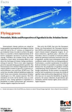 Flying green Potentials, Risks and Perspectives of Agrofuels in the Aviation Sector - Brot f&uuml;r die Welt