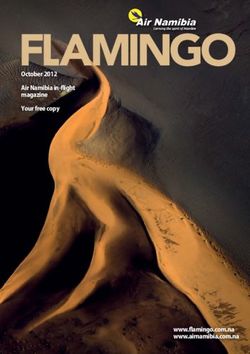 October 2012 Air Namibia in-flight magazine Your free copy - www.flamingo.com.na www.airnamibia.com.na