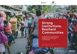 Strong Institutions, Resilient Communities - PUSKAPA