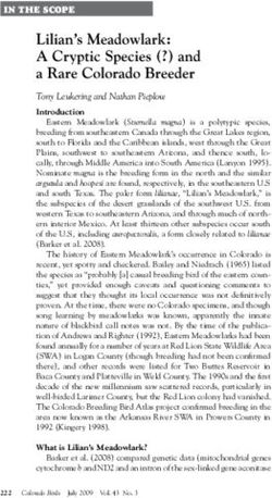 Lilian's Meadowlark: A Cryptic Species (?) and a Rare Colorado Breeder