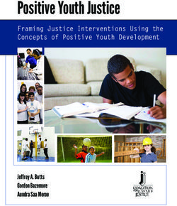 Positive Youth Justice - Framing Justice Interventions Using the Concepts of Positive Youth Development