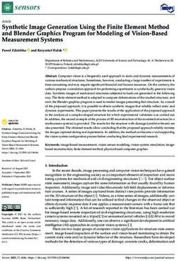 Synthetic Image Generation Using the Finite Element Method and Blender Graphics Program for Modeling of Vision-Based Measurement Systems