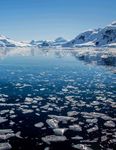 EXPLORING ANTARCTICA with Polar Latitudes | 2021-2022 Season aboard the MS Seaventure - Bellingham Safaris