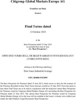 Citigroup Global Markets Europe AG - Citi Warrants