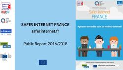 SAFER INTERNET FRANCE - saferinternet.fr Public Report 2016/2018