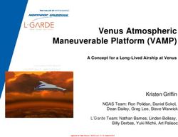 Venus Atmospheric Maneuverable Platform (VAMP)