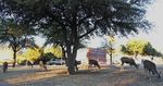 Spring Breakers from San Antonio Team up with SRSU Geology Club