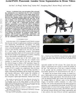 Aerial-PASS: Panoramic Annular Scene Segmentation in Drone Videos