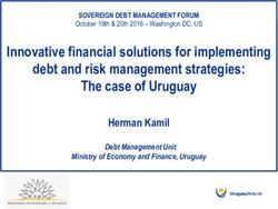 Innovative financial solutions for implementing debt and risk management strategies: The case of Uruguay - Pubdocs.worldbank.org.