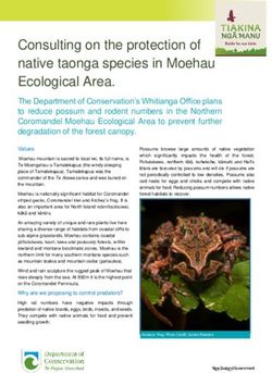 Consulting on the protection of native taonga species in Moehau Ecological Area - EcoFX