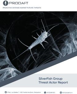 SILVERFISH GROUP THREAT ACTOR REPORT - PRODAFT