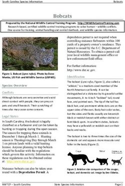 Bobcats - South Carolina Department of Natural Resources