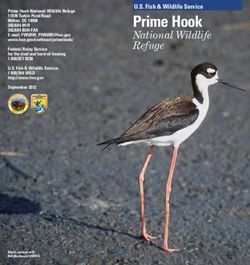 U.S. Fish & Wildlife Service