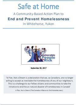 Safe at Home A Community-Based Action Plan to - City of Whitehorse