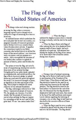 The Flag of the United States of America