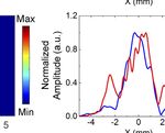 Longitudinal Component Properties of Circularly Polarized Terahertz Vortex Beams