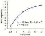 Population growth and maturity characteristics of Commerson's anchovy - NOPR