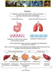 The Nexus between Workplace Exposure for Wood, Welding, Motor Mechanic, and Oil Refinery Workers and the Prevalence of Prediabetes and Type 2 ...