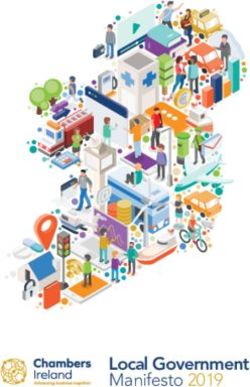 Local Government Manifesto 2019 - Chambers Ireland