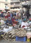 Responses to COVID-19 in Nepal - XX Social protection