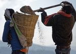 Responses to COVID-19 in Nepal - XX Social protection